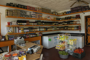 Ponta do Ouro Mozambique